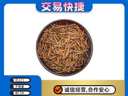 襄阳市樊城回收散虫草